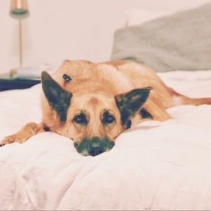 Meet your Posher, Gretchen